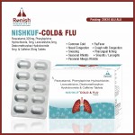 NISHKUF-COLD & FLU TAB