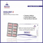 ISHGLIMET-2