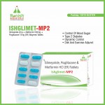 ISHGLIMET-MP 2