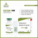 ESPZONE 1 GM